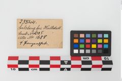 Etiketten zu Bronzephalere (NHMW-PRAE-025544a)